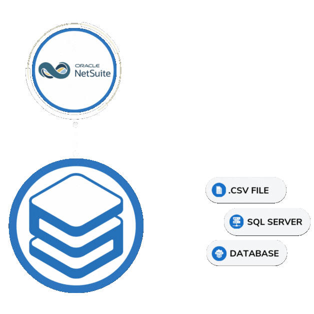 NetSuite data export in action